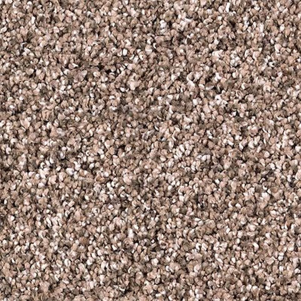 Textured Saxony Winter Bark Brown Carpet