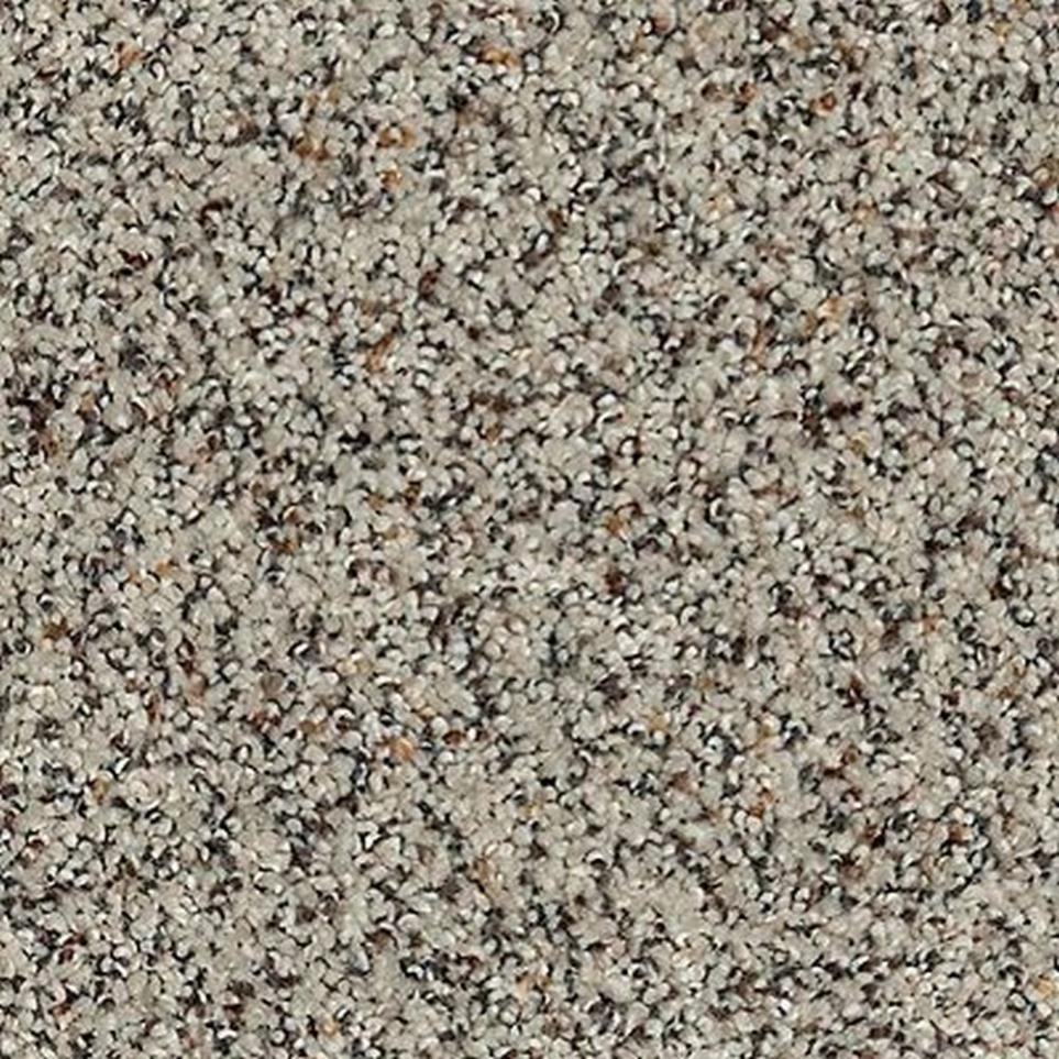 Textured Saxony Fine White White Carpet