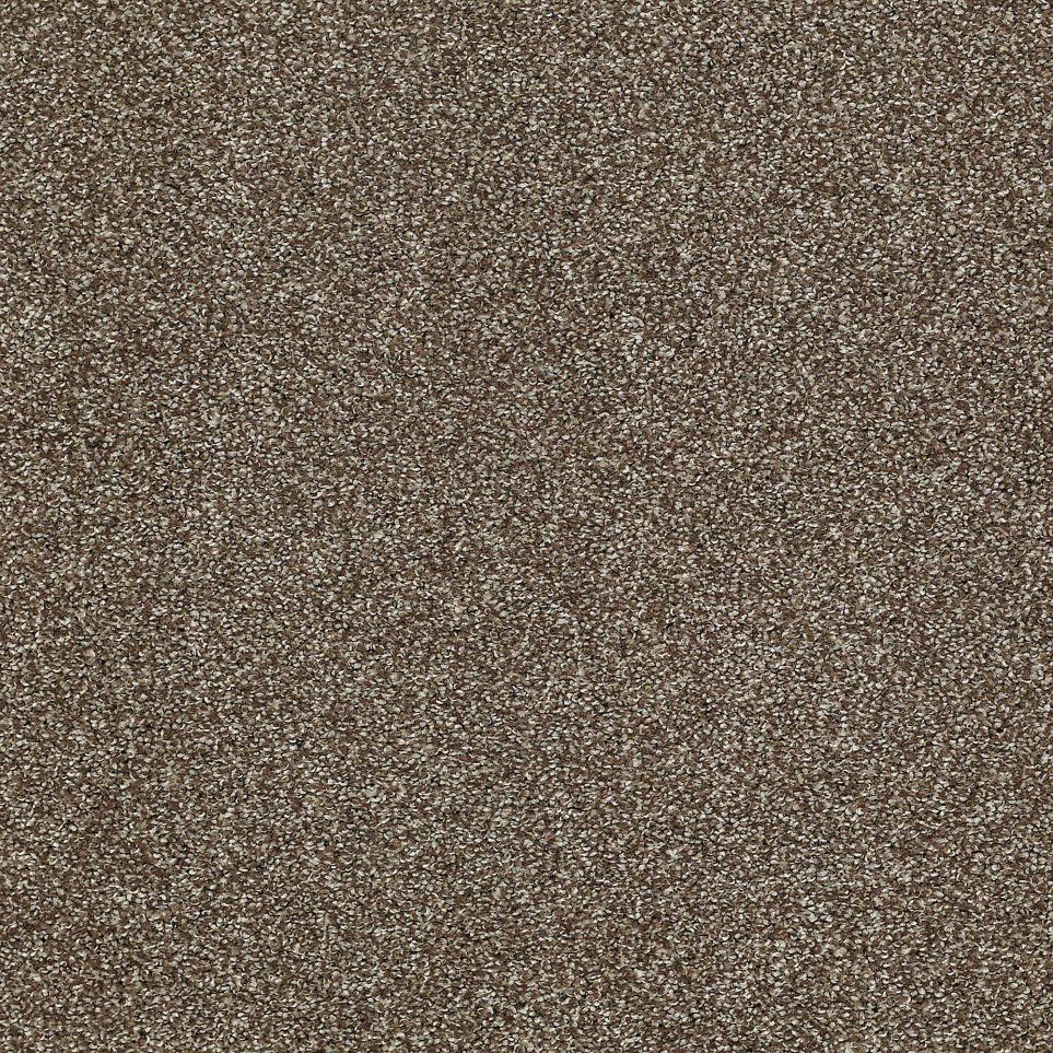 Texture Mission Trail Brown Carpet