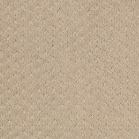 Pattern Electric Beige/Tan Carpet