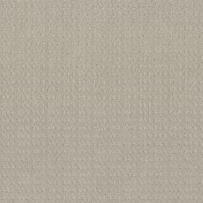 Pattern Chenille Beige/Tan Carpet