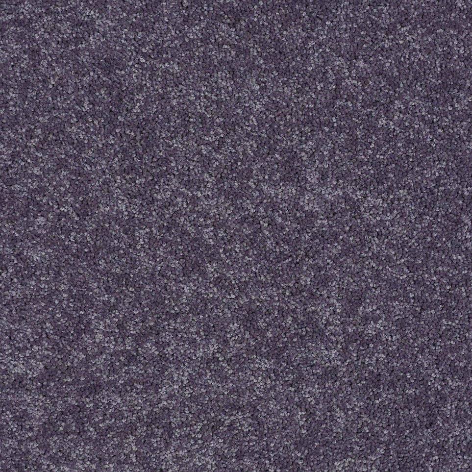 Textured Saxony Amethyst Purple Carpet