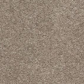 Textured Saxony Bare Necessities Beige/Tan Carpet