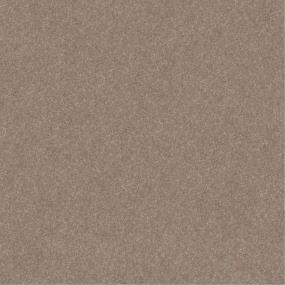 Plush Saxony Tawny Beige/Tan Carpet