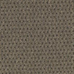 Pattern Monument Brown Carpet