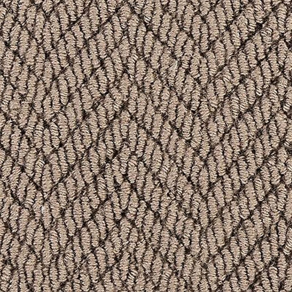 Loop Rustic Harmony Brown Carpet