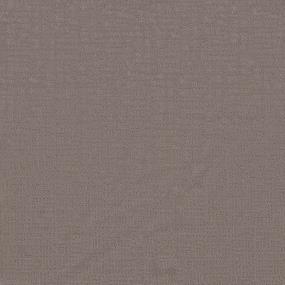 Pattern Basketweave Beige/Tan Carpet