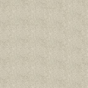 Textured Saxony Winter Haven Beige/Tan Carpet