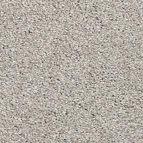 Textured Saxony Amusing Gray Carpet