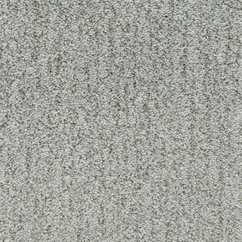 Textured Saxony Cypress Gray Carpet