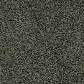 Textured Saxony Outdoor Oasis Brown Carpet