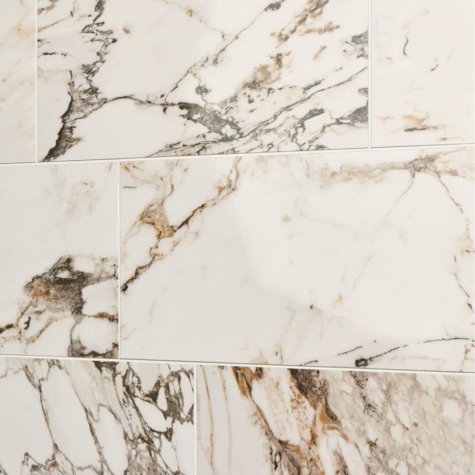 Tile Calacatta Aries Polished Beige/Tan Tile