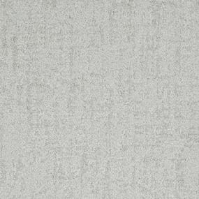 Pattern Legitimate Gray Carpet