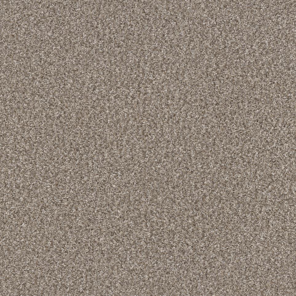 Casual Texture Oyster Beige/Tan Carpet