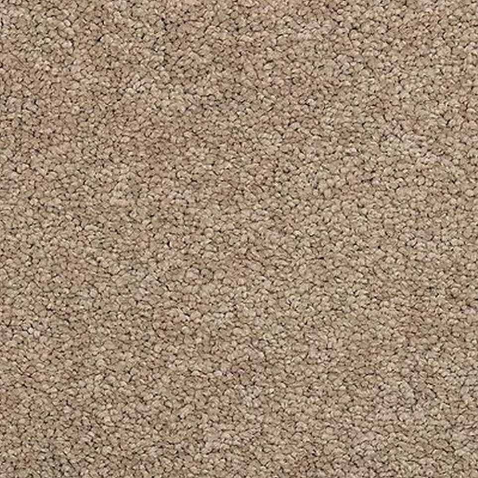Textured Saxony Liverpool Beige/Tan Carpet