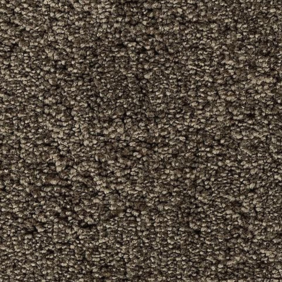 Textured Saxony Cathedral Gray Carpet