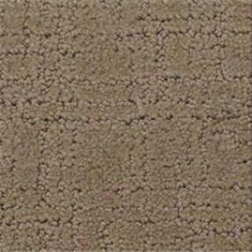 Pattern Creekbed Beige/Tan Carpet