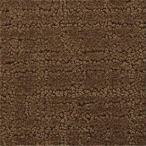 Pattern Stampede Brown Carpet
