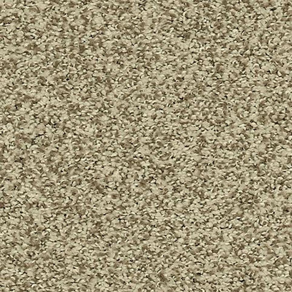 Textured Saxony Mountain Ledge Brown Carpet