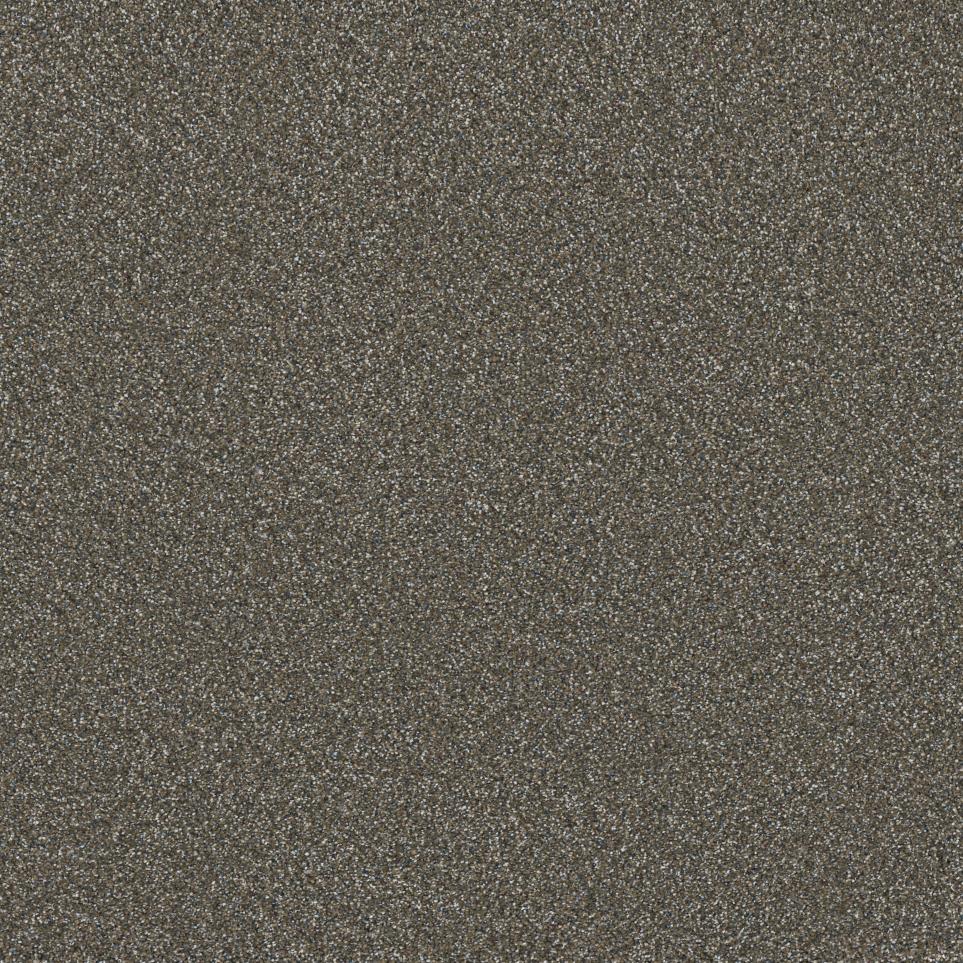 Textured Saxony Adornment Brown Carpet