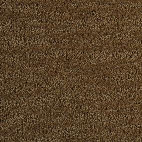 Pattern Cameo Brown Carpet