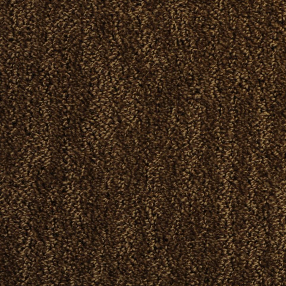 Pattern Mountain Mist Brown Carpet