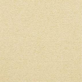 Casual Texture Vista Beige/Tan Carpet
