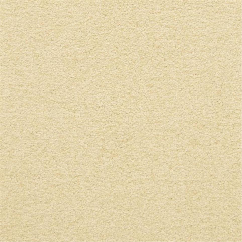 Casual Texture Vista Beige/Tan Carpet