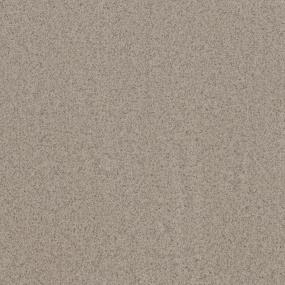 Textured Saxony Toasted Seed Beige/Tan Carpet