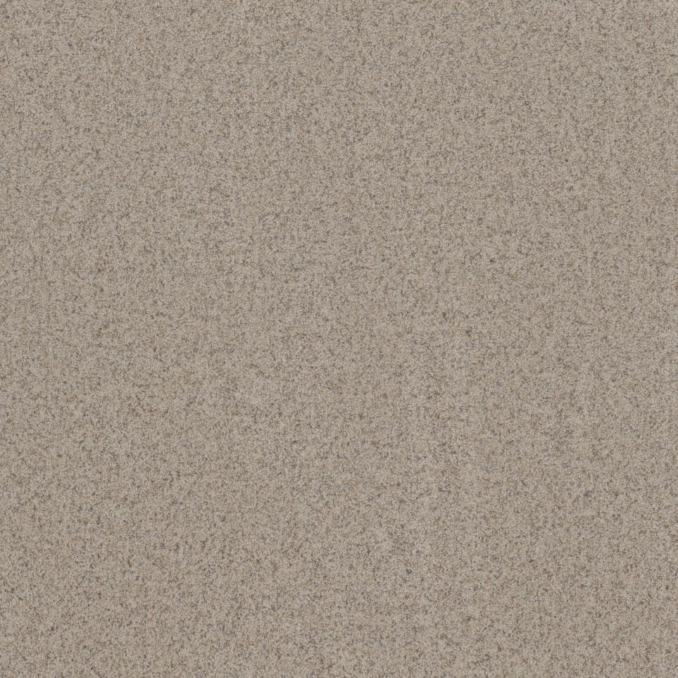Texture Toasted Seed Beige/Tan Carpet