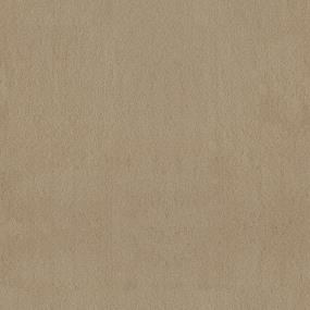 Textured Saxony Sundance Beige/Tan Carpet