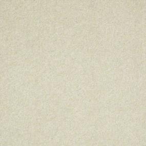 Textured Saxony Cobweb Beige/Tan Carpet