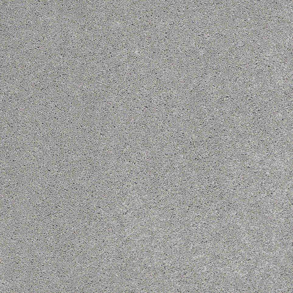 Texture Roller Blade Gray Carpet