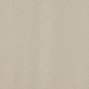 Pattern Blossom Beige/Tan Carpet