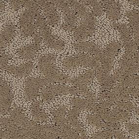 Pattern Woodcreek Brown Carpet