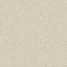 Texture Halo Beige/Tan Carpet