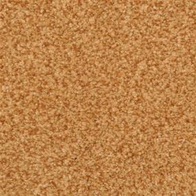 Casual Texture Chip Orange Carpet