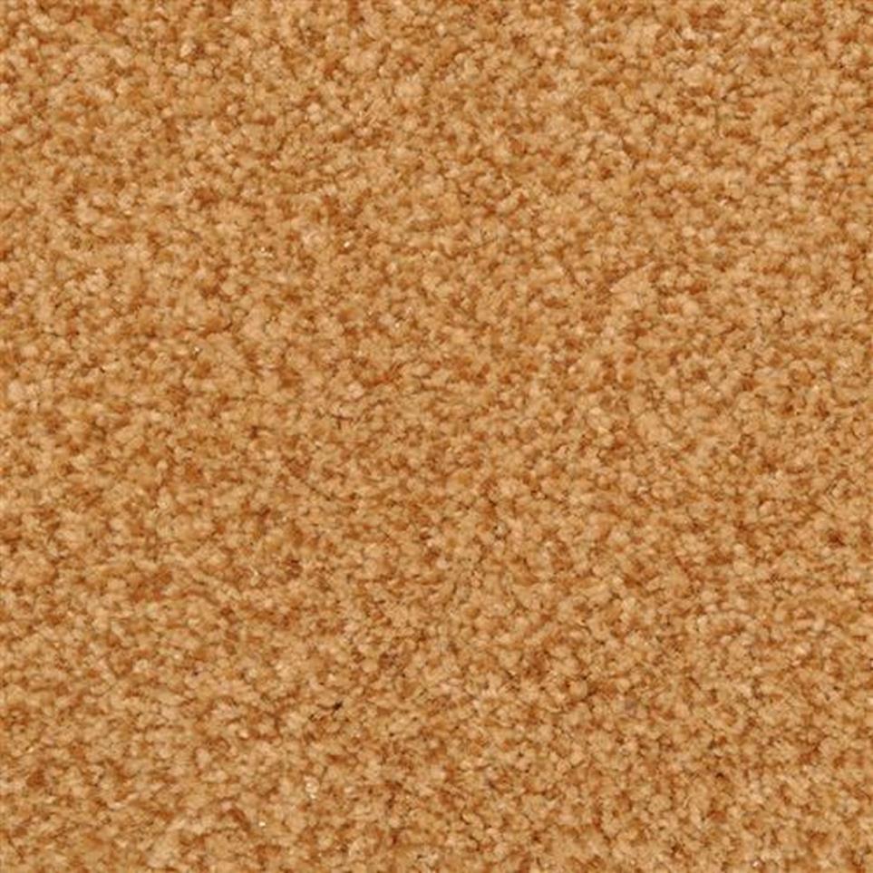 Casual Texture Chip Orange Carpet