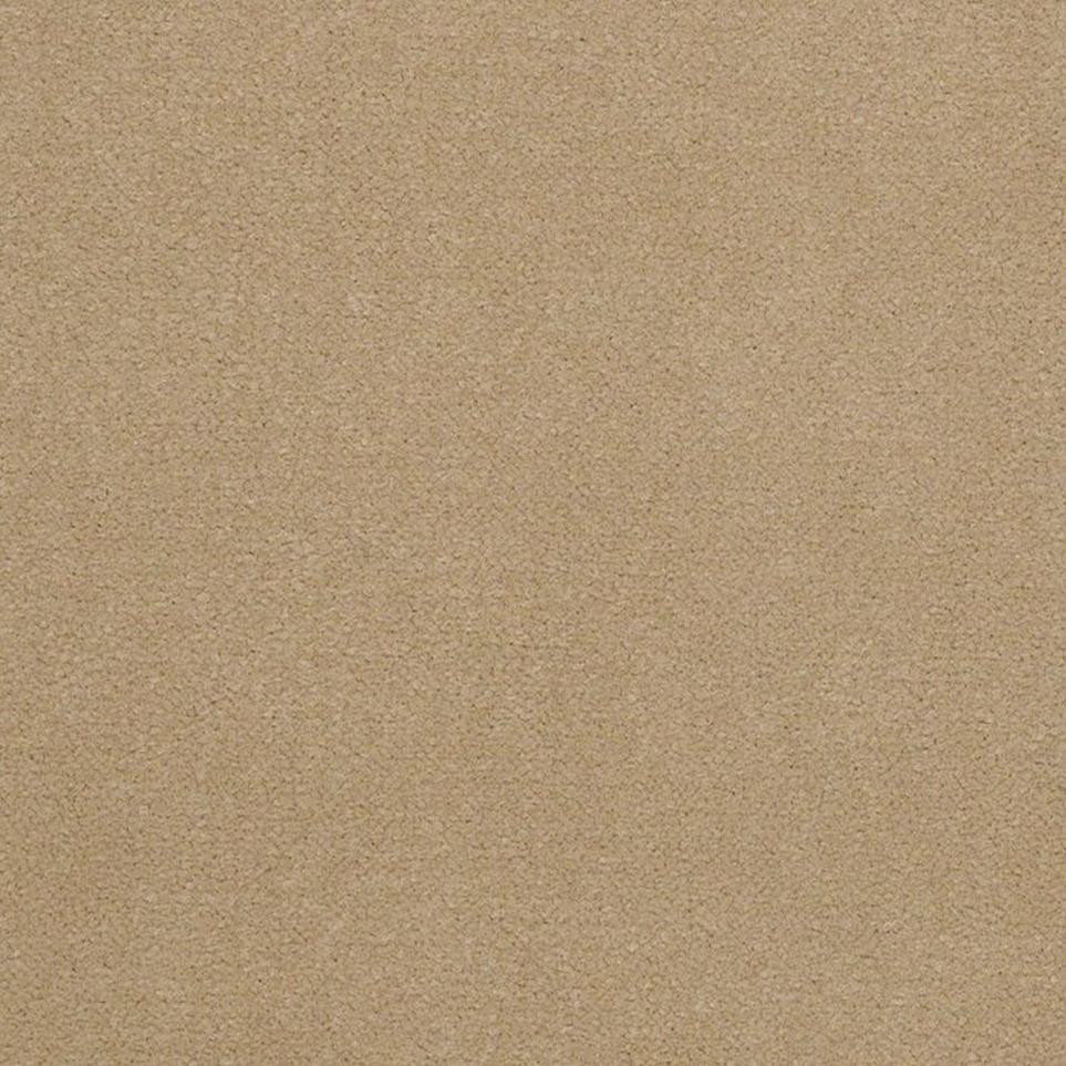 Cut Pile Face Powder Beige/Tan Carpet