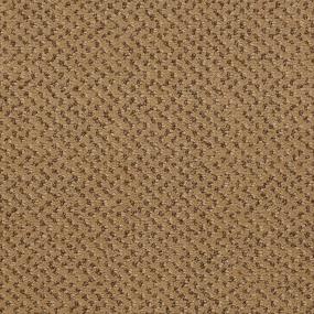 Pattern COOKIE CRUMB Beige/Tan Carpet