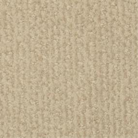 Pattern Nineteenth Hole Beige/Tan Carpet