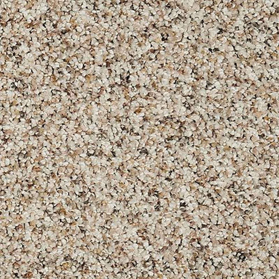 Textured Saxony Quiet Light Beige/Tan Carpet