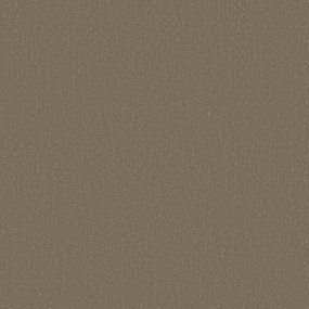 Pattern Camelback Brown Carpet