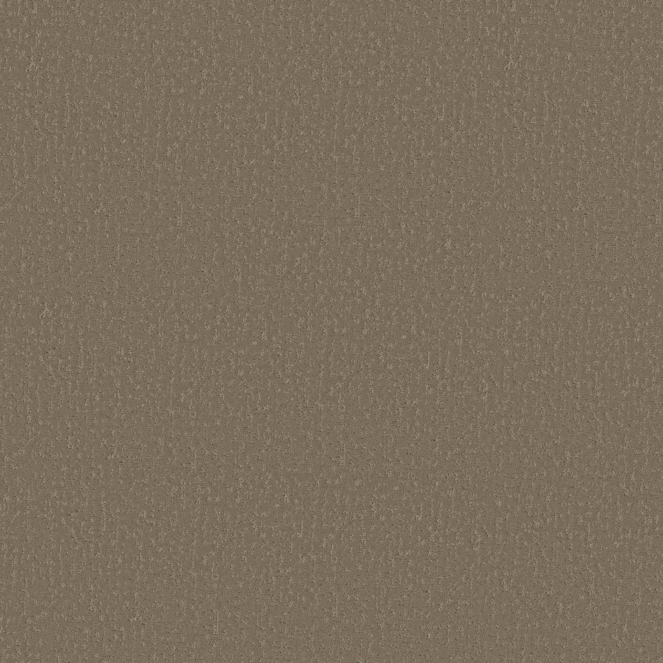 Pattern Camelback Brown Carpet