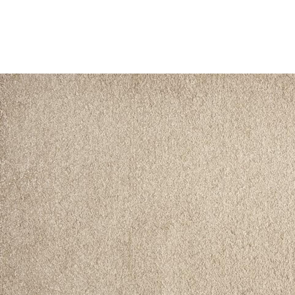 Plush Mink Beige/Tan Carpet