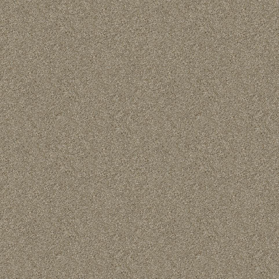 Texture Rustic Rawhide Beige/Tan Carpet