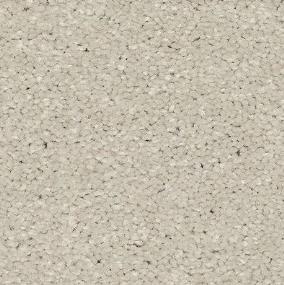 Textured Saxony Adore Beige/Tan Carpet