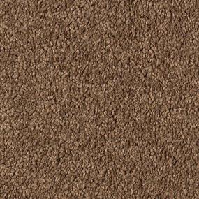 Textured Saxony Timeless Beige/Tan Carpet