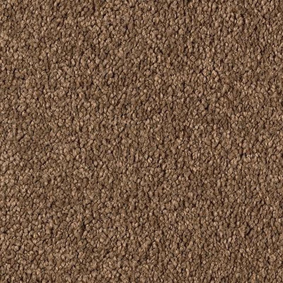 Textured Saxony Timeless Beige/Tan Carpet