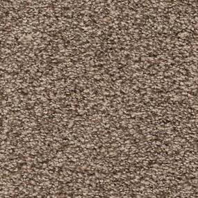Textured Saxony Gilded Beige/Tan Carpet